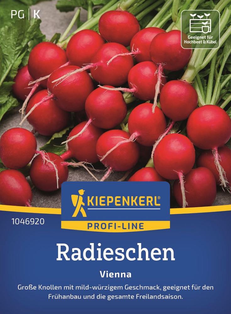 Radieschen Vienna F1