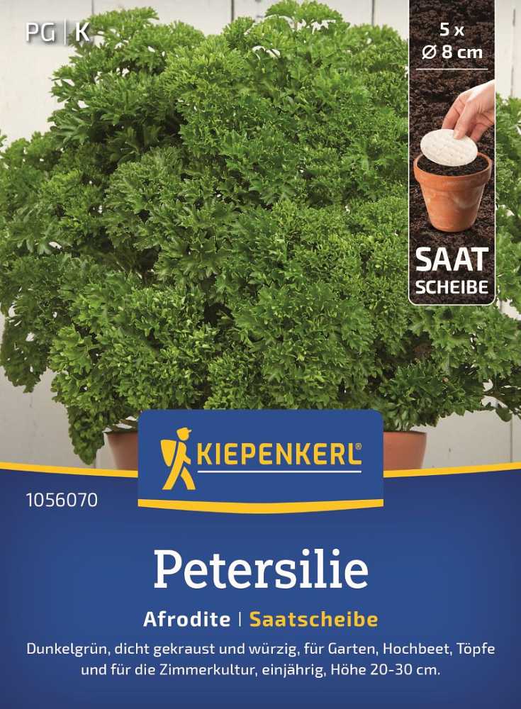 Petersilie Afrodite Saatscheibe