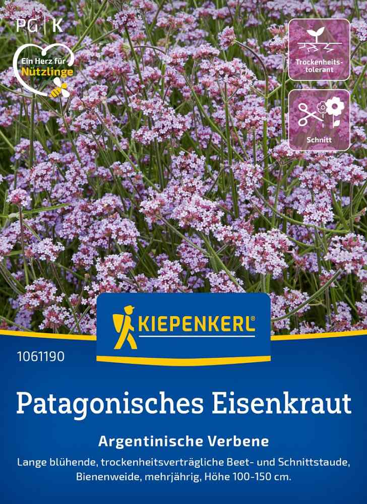 Patagonisches Eisenkraut Argent. Verbene