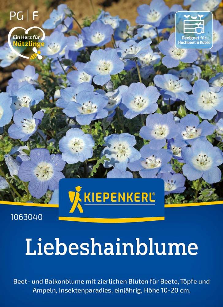 Liebeshainblume