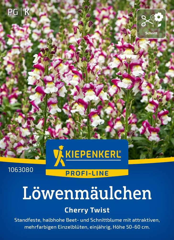 Löwenmäulchen Cherry Twist