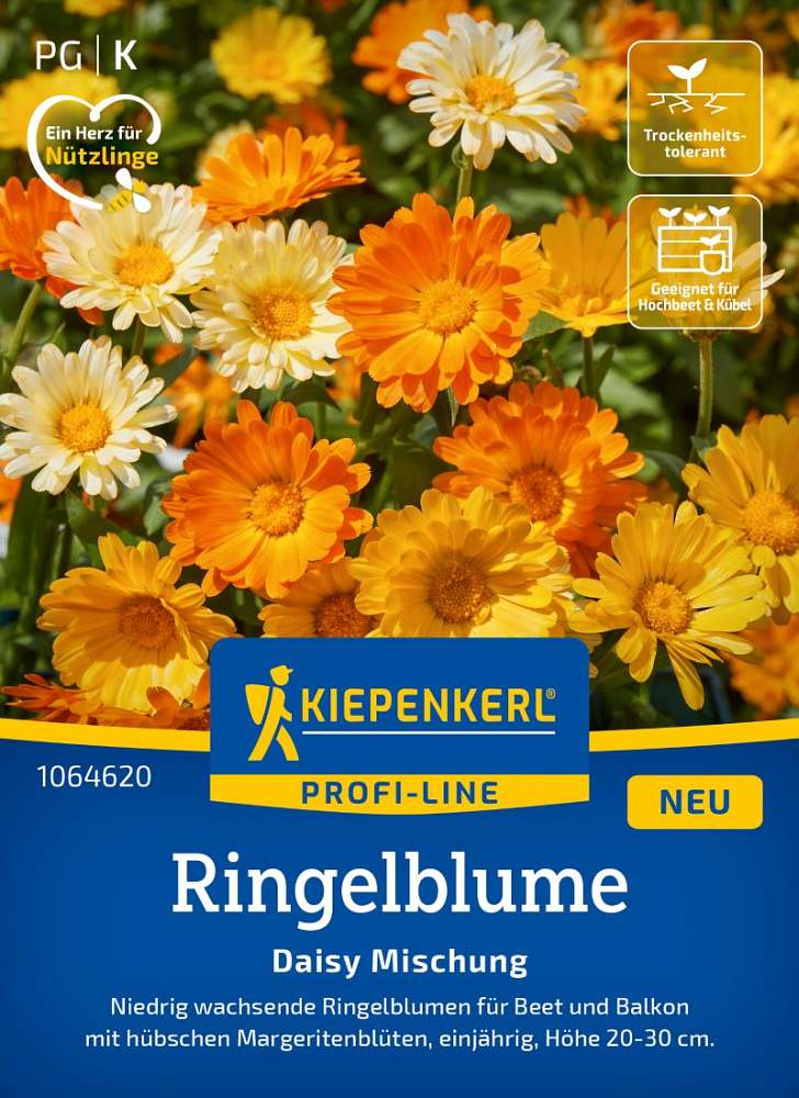 Ringelblume Daisy Mischung