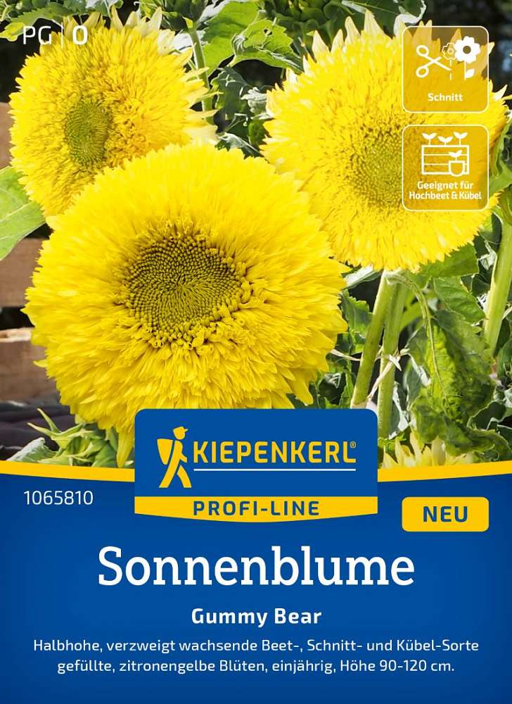 Sonnenblume Gummy Bear