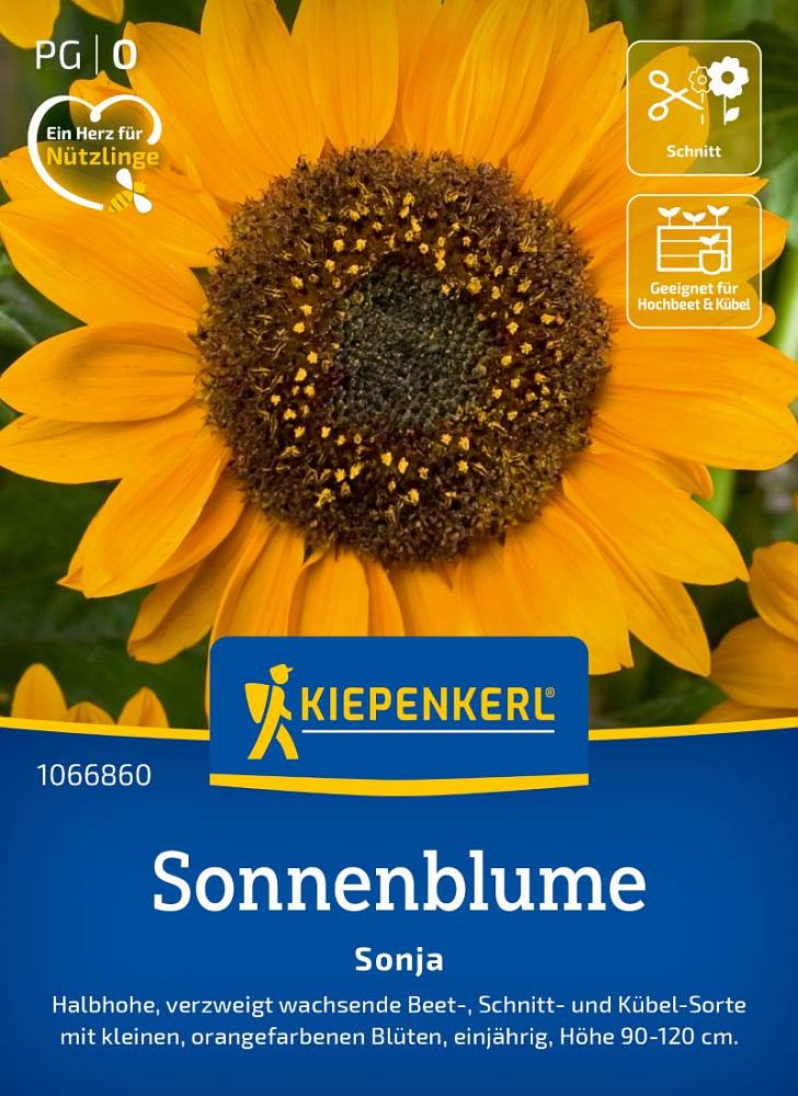 Sonnenblume Sonja