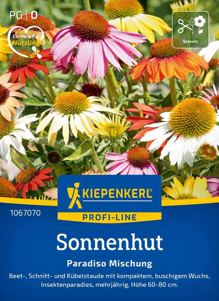 Sonnenhut Paradiso Mischung