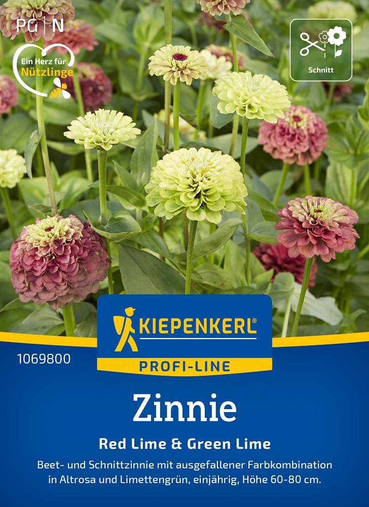 Zinnie Red Lime & Green Lime