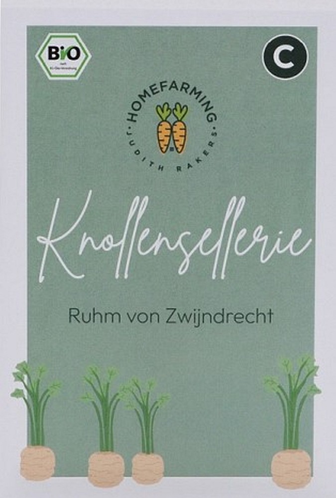 Knollensellerie Ruhm von Zwijndrecht