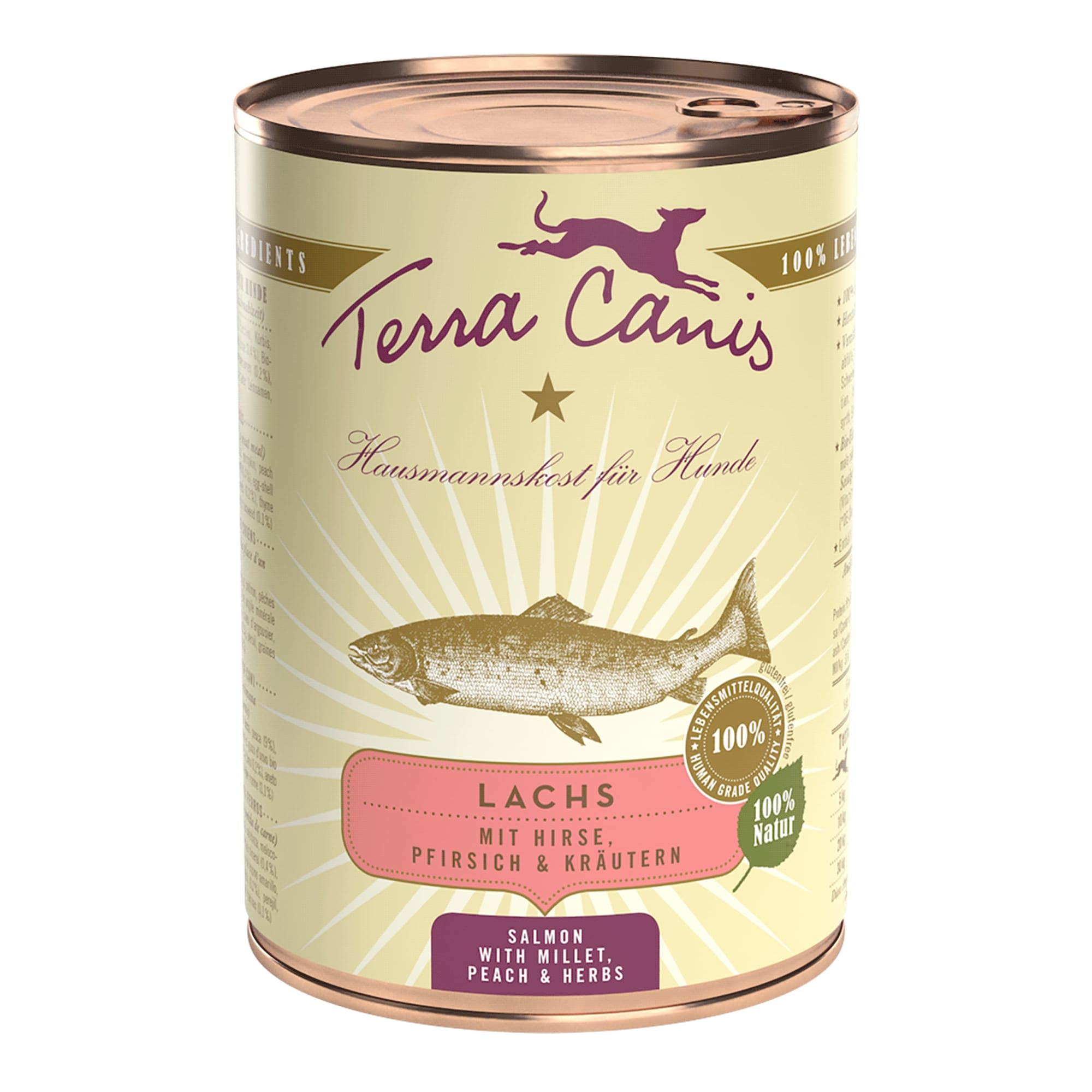 Terra Canis Lachs mit Hirse, Pfirsich und Kräutern 400 g