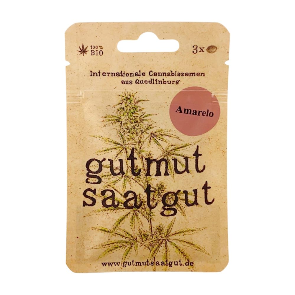 gutmut Cannabissamen AMARELO