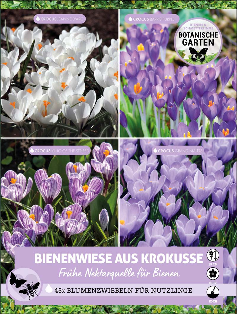 Bienenwiese aus Krokusse 45 Stück