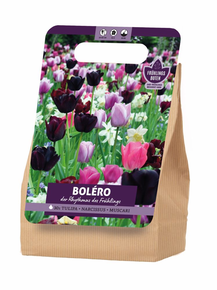 Bolero Tulpen Narzissen Muscari 30 Stück