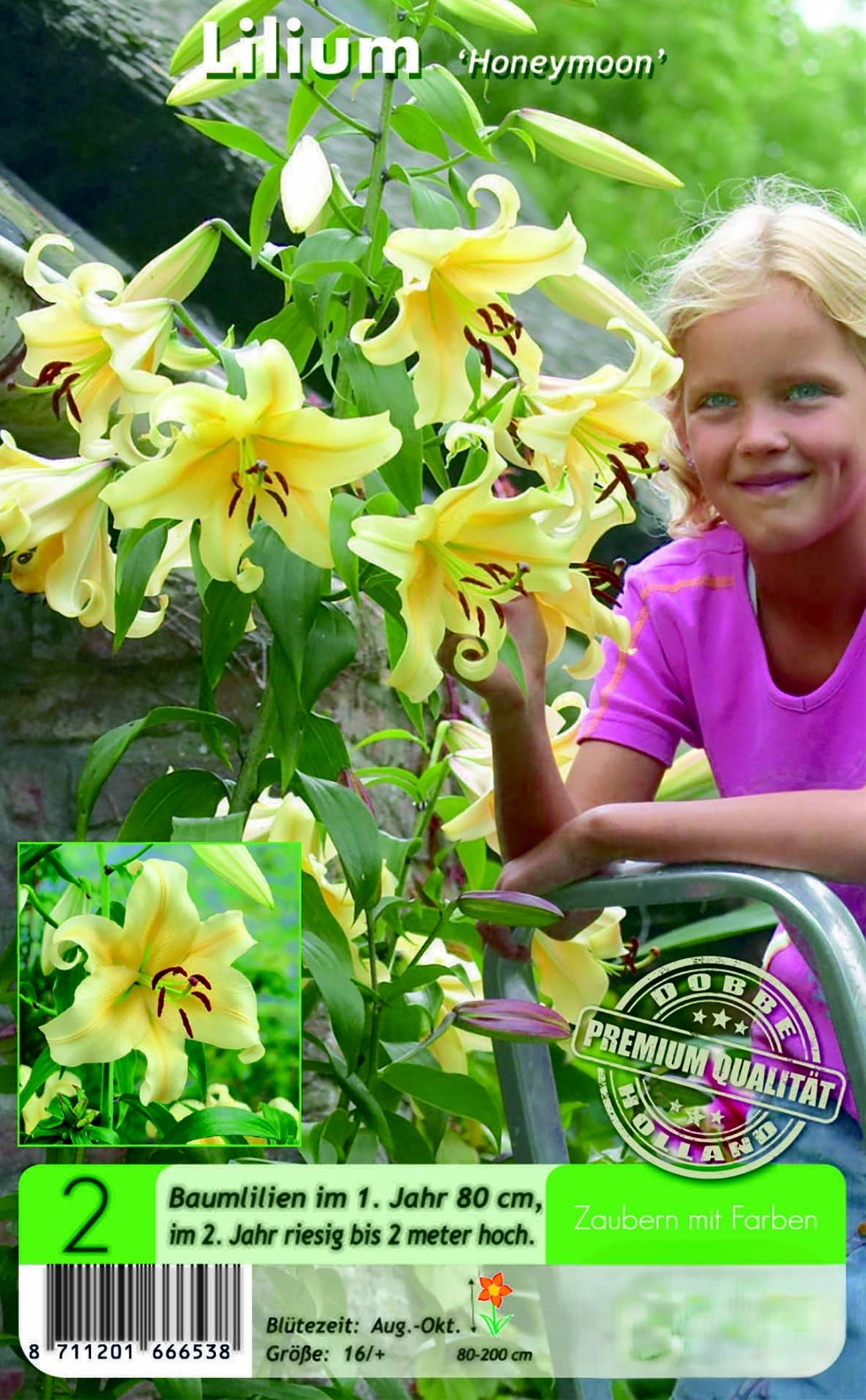 Baumlilien Lilium Honeymoon 2 Stück