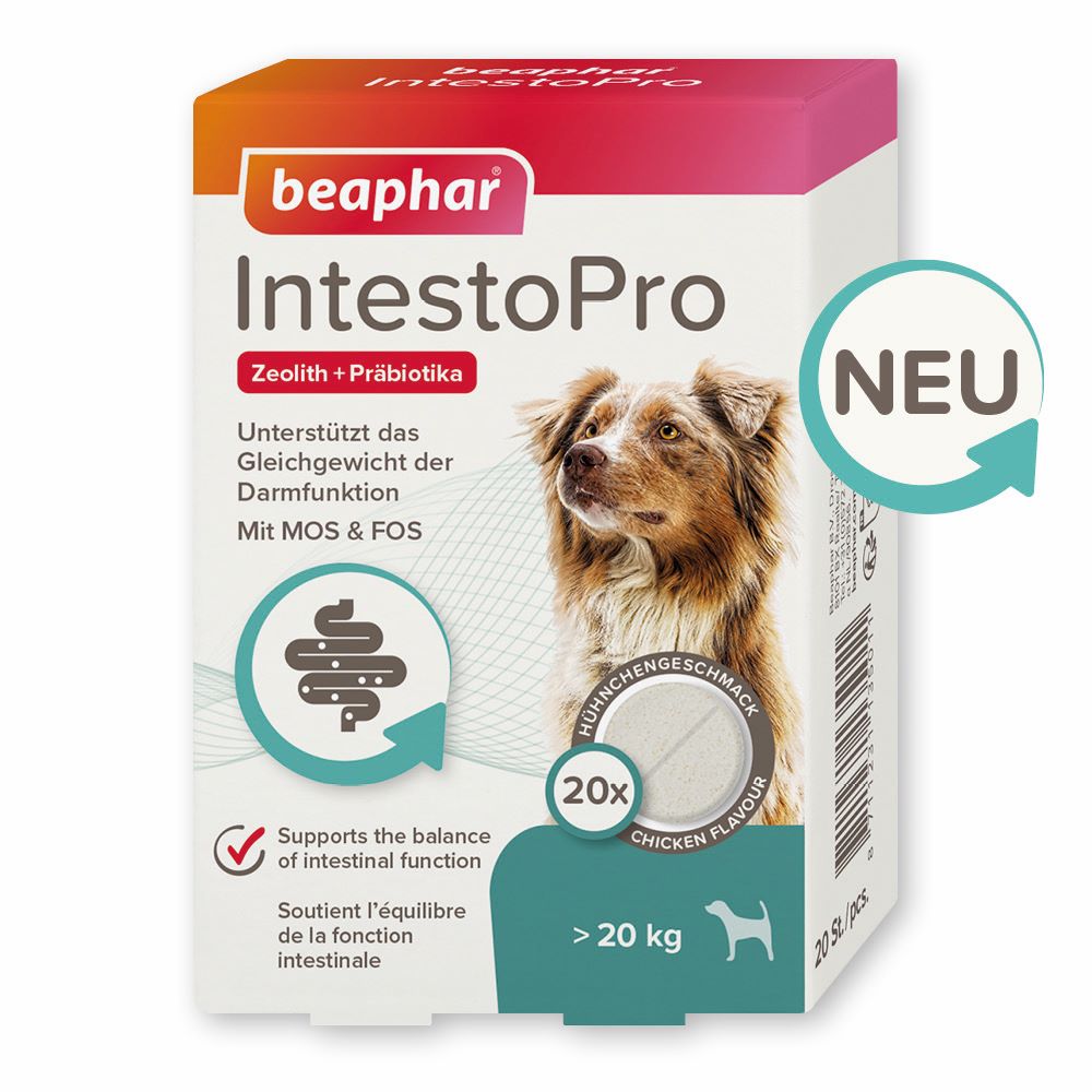 beaphar IntestoPro Tabs große Hunde