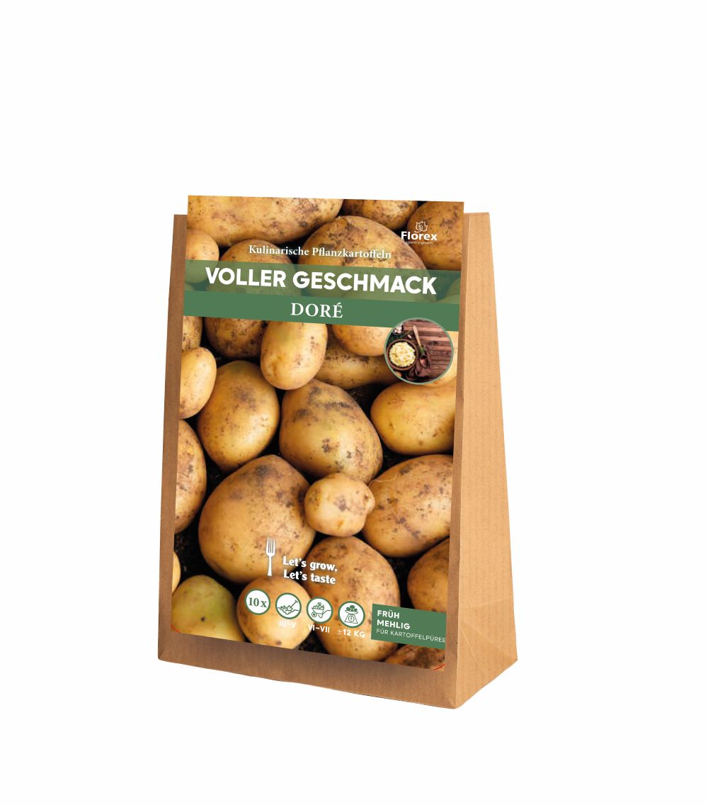 Pflanzkartoffeln Doré 10 Stück
