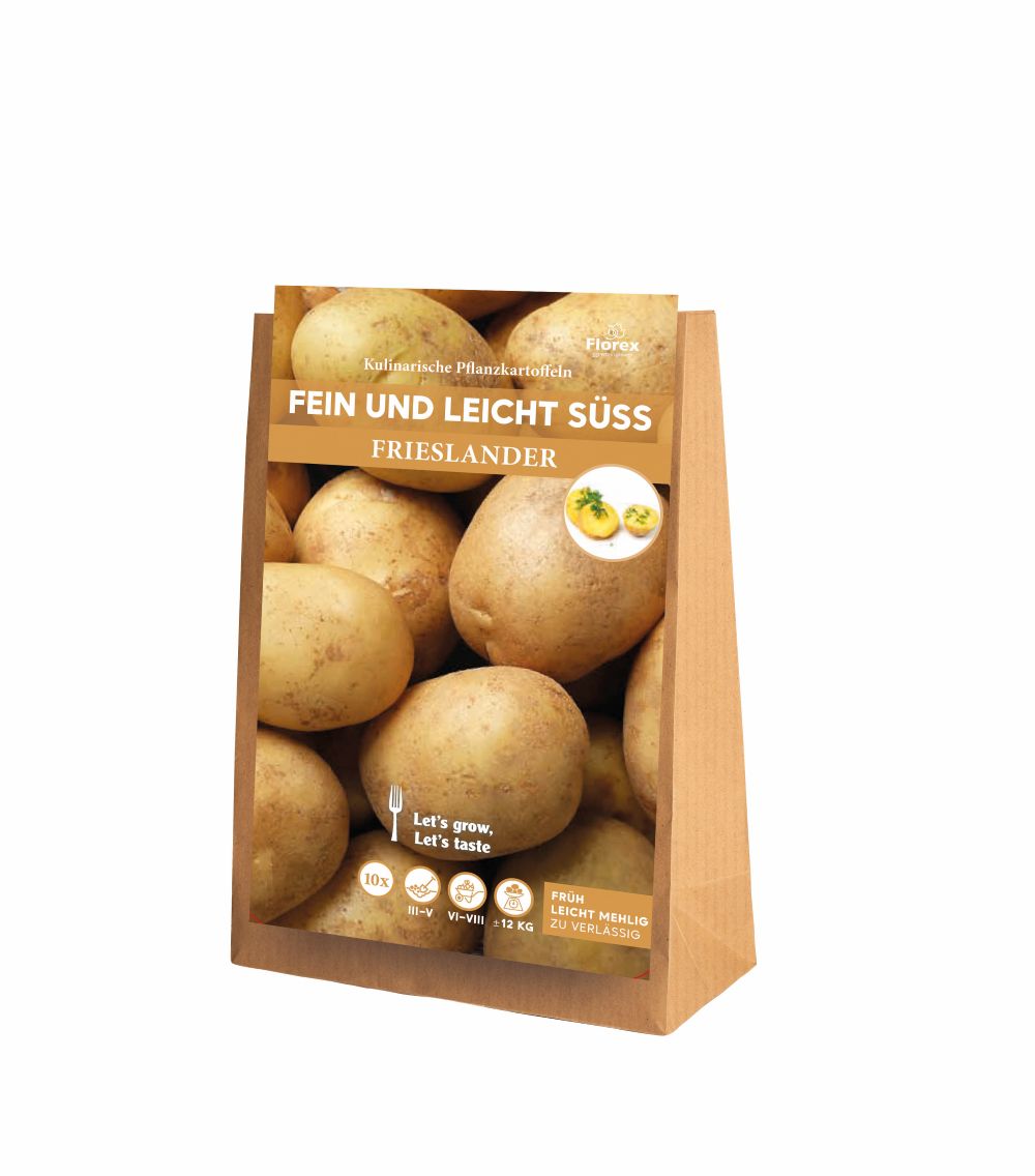 Pflanzkartoffeln Frieslander 10 Stück