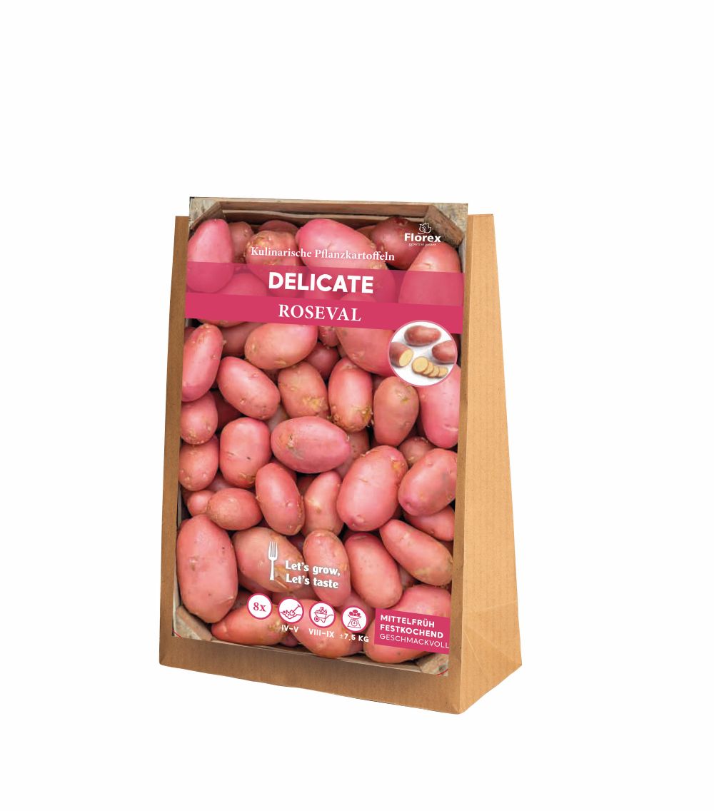 Pflanzkartoffeln Roseval 8 Stück