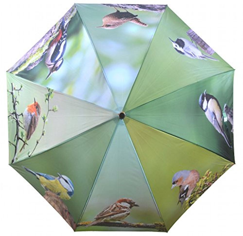 Regenschirm Vögel