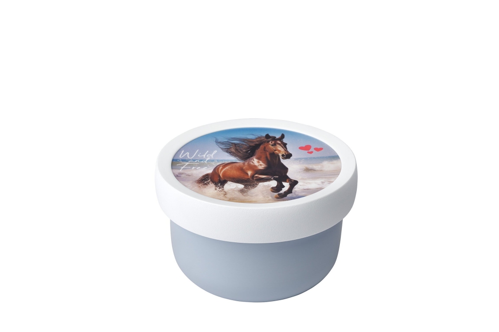 Fruchtbox Campus 300 ml Wild Horse