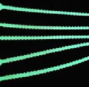 Balzer Multi Bands Luminous
