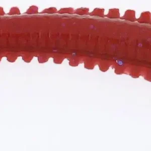Berkley Gulp Alive Nereis 15cm Bloody