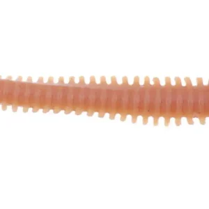 Berkley Gulp Alive Nereis 15cm Natural