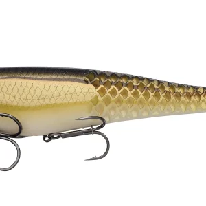 Berkley Cull Shad Shallow 20cm Gold Shad