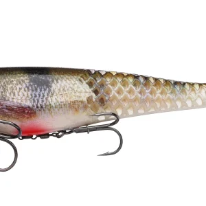 Berkley Cull Shad Shallow 20cm Perch