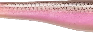 Berkley PowerBait Hollow Belly 13cm Wagasaki