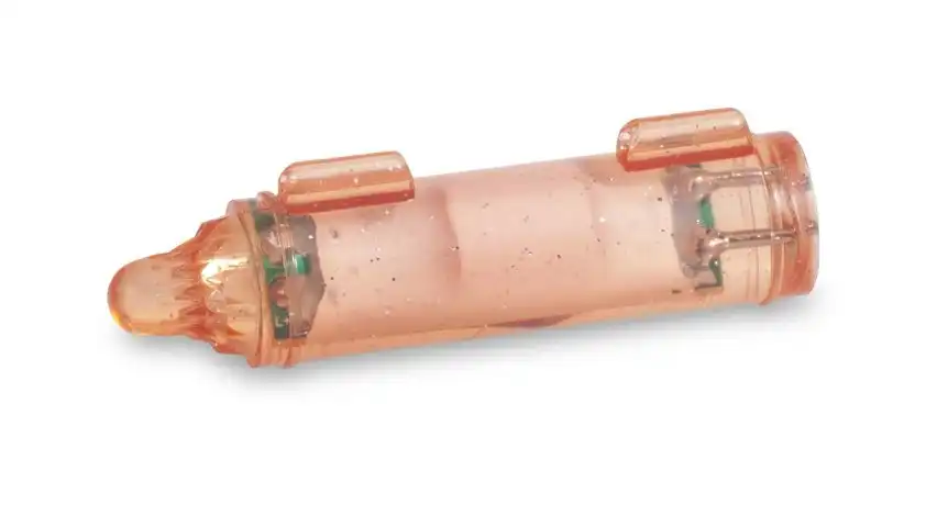 Aquantic Flashlight red
