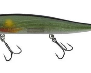 Berkley DEX Stunna 11cm Ayu