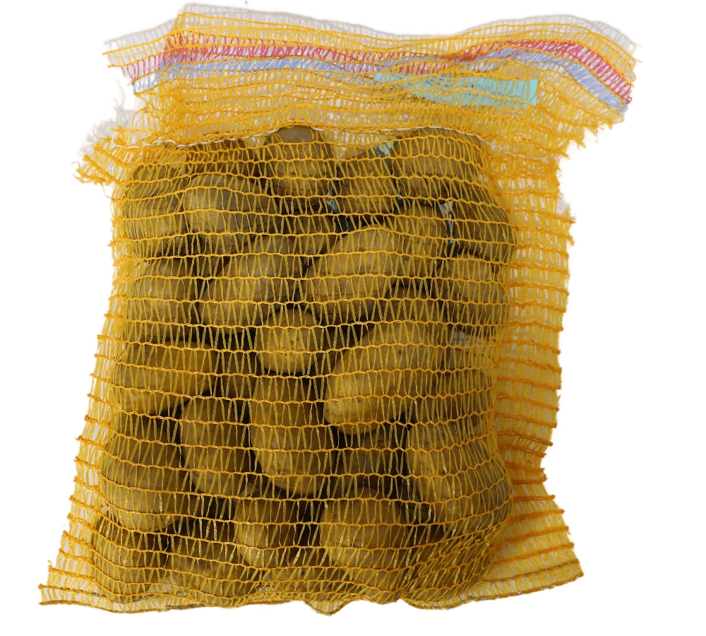 Pflanzkartoffel Cilena 5,0 kg